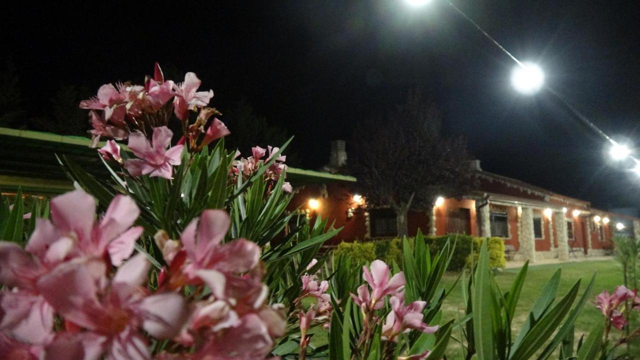 Finca Entrevinedos De Bodegas Marcos Peñafiel Εξωτερικό φωτογραφία